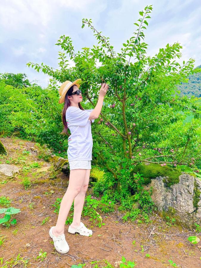 Doi Che Hotel Moc Chau Ngoại thất bức ảnh