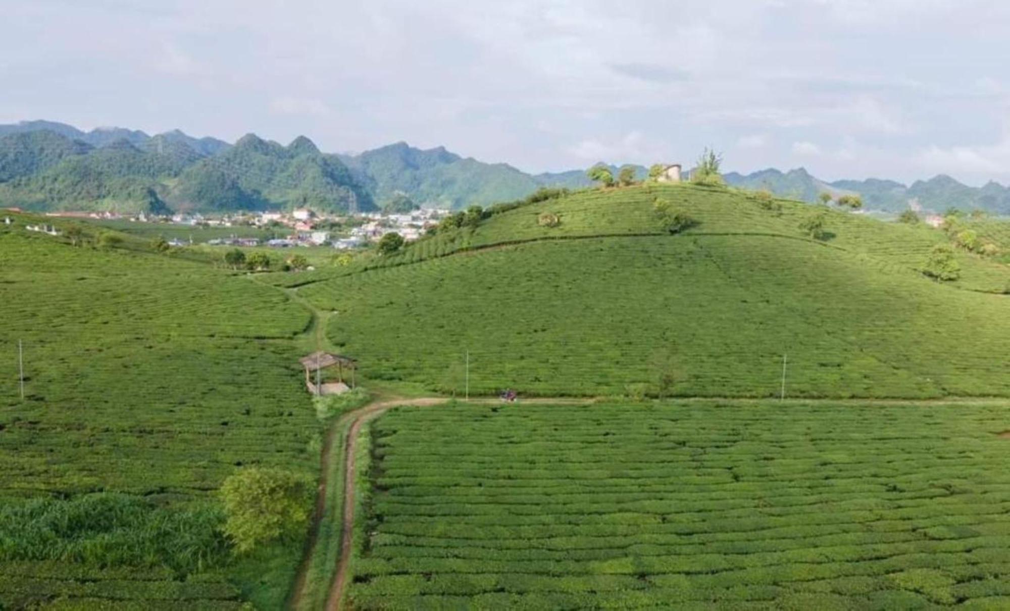 Doi Che Hotel Moc Chau Ngoại thất bức ảnh